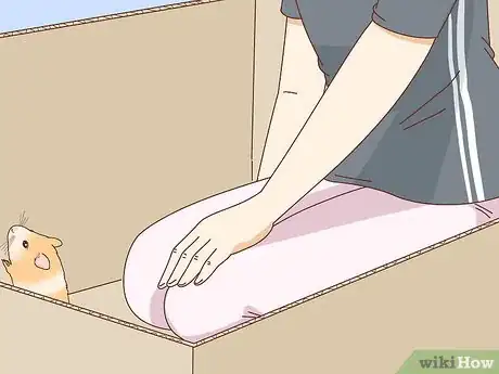 Image titled Train Your Hamster to Come when You Call Step 7