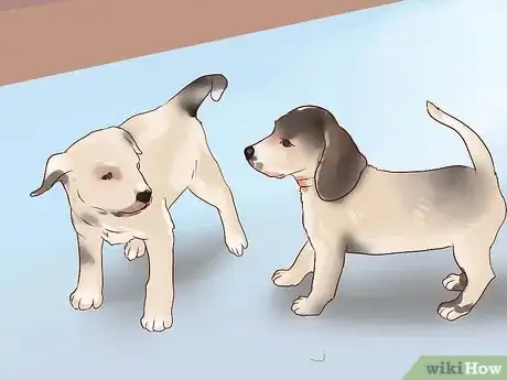 Image titled Train a Guard Dog Step 4