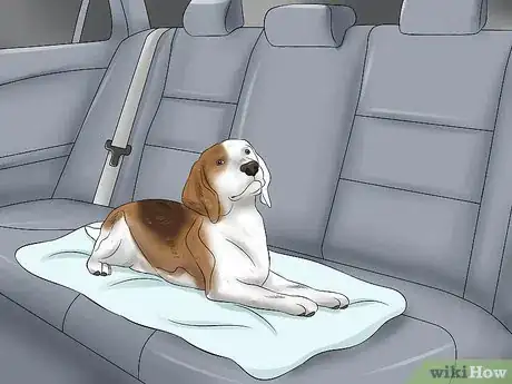 Image titled Get Dog Smell Out of Your Car Step 12