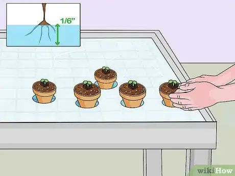 Image titled Build a Hydroponic Garden Step 13