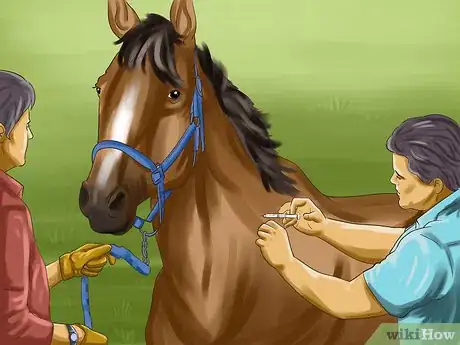 Image titled Vaccinate Horses Step 5