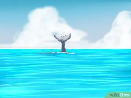 Image titled Why Do Whales Breach Step 11