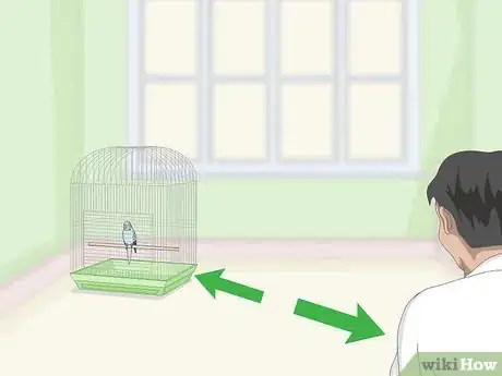 Image titled See if Your Pet Budgie Is Sick Step 6