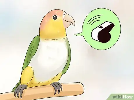 Image titled Know if a Caique Parrot Is Right for You Step 14