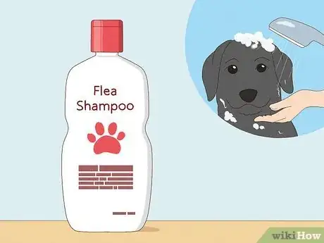 Image titled Prevent Flea Bites Step 10