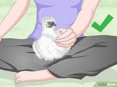 Image titled Pet a Chicken Step 10