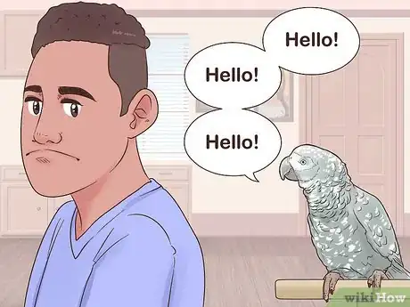 Image titled Encourage an African Grey Parrot to Speak Step 16