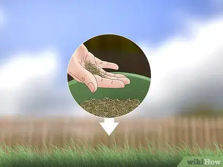 Image titled Get Rid of Quack Grass Step 1