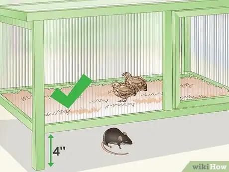 Image titled Clean and Maintain a Button Quail Cage Step 11
