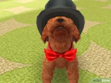 Image titled Teach Your Nintendogs Tricks Step 16