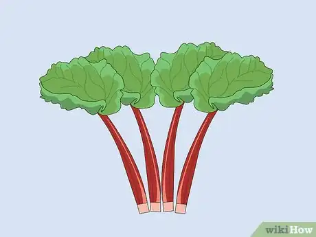 Image titled Grow Rhubarb from Seed Step 18