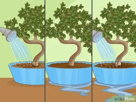 Image titled Revive a Bonsai Tree Step 8
