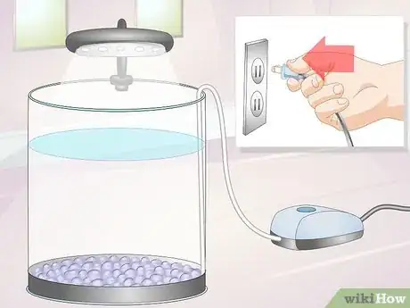 Image titled Start a Jellyfish Tank Step 9