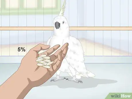 Image titled Care for a Moluccan or Umbrella Cockatoo Step 8
