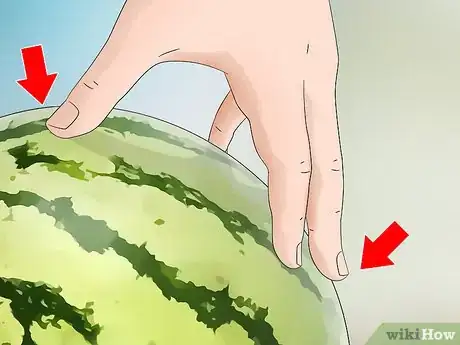 Image titled Tell when a Watermelon Is Ripe and Ready for Picking Step 5