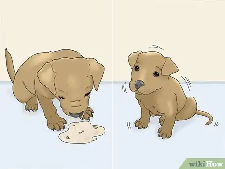 Image titled Treat Puppy Diarrhea Step 1