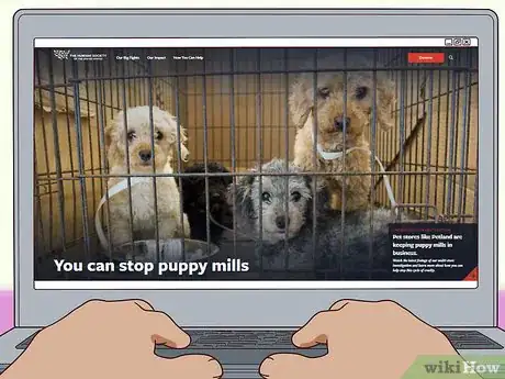 Image titled Help Stop Cruelty Towards Animals Step 8