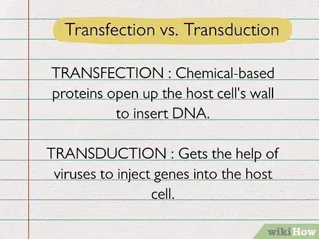 Image titled Transfection vs Transduction Step 1