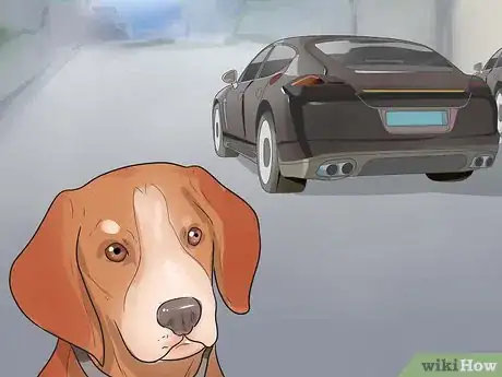 Image titled Deal With Your Dog's Fear of Vehicles Step 3