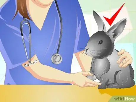 Image titled Trim Your Rabbit's Nails Step 15