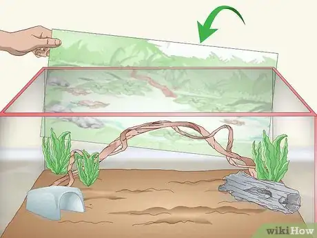 Image titled Set up a Green Anole Tank Step 7