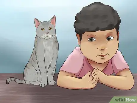 Image titled Identify a Li Hua Cat Step 9