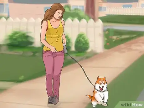 Image titled Start Walking Your Puppy Step 5