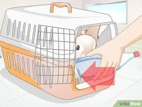 Image titled Care for Your Rabbit After Neutering or Spaying Step 6