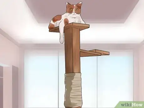 Image titled Get Your Cat to Stop Hissing Step 14