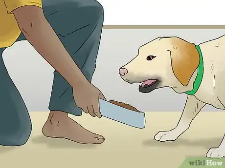 Image titled Make a Routine for Your Dog Step 2