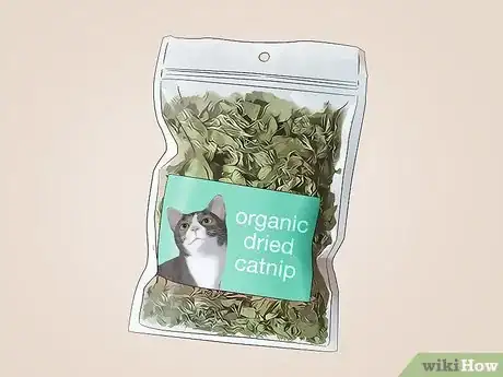 Image titled Use Catnip Step 7