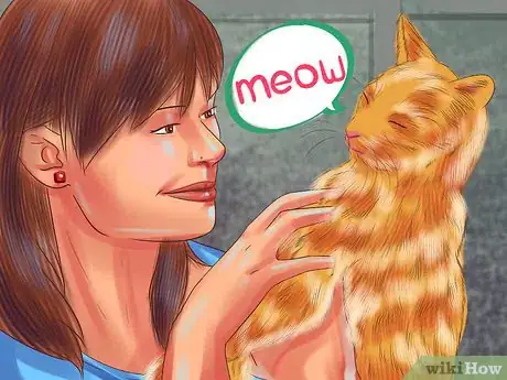 Image titled Understand the Cat's Meow Step 1