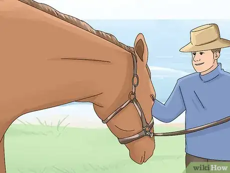 Image titled Tell if a Horse Is Frightened Step 22