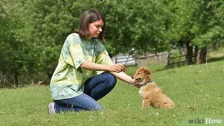 Image titled Teach a Puppy to Come Step 10