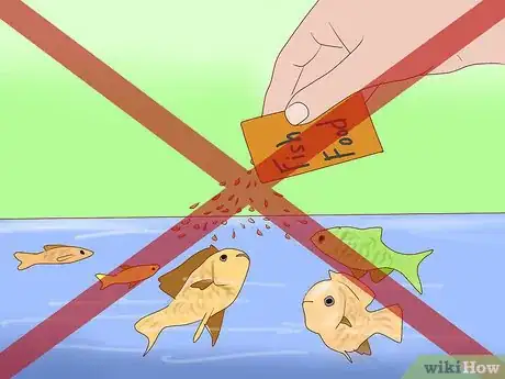 Image titled Get Rid of Snails in Aquarium Step 1