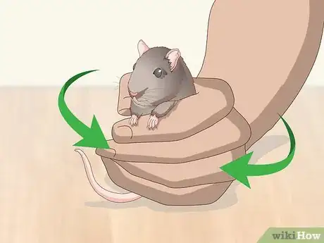Image titled Pick Up a Pet Mouse Step 3