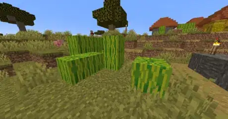 Image titled Find melon seeds in minecraft step 10.png