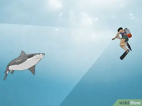 Image titled Survive a Shark Attack Step 1