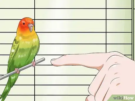 Image titled Tame Your Budgies Step 8