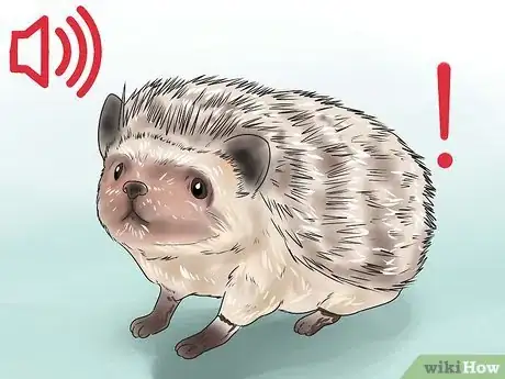 Image titled React when Your Hedgehog Bites You Step 8