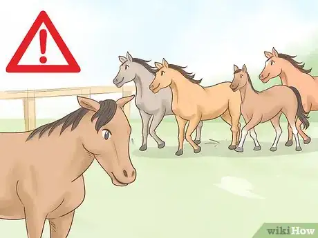 Image titled Tell if a Horse Is Happy Step 12