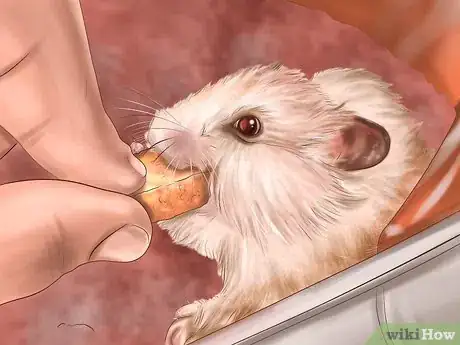Image titled Create a Bond With Your Hamster Step 7