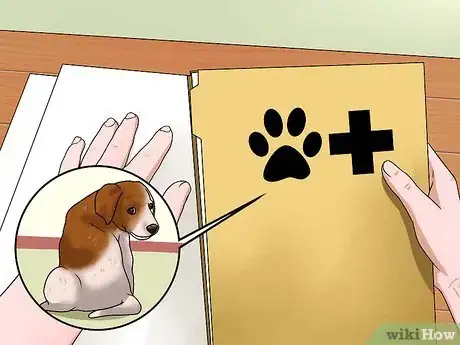 Image titled Choose a Healthy Puppy Step 7