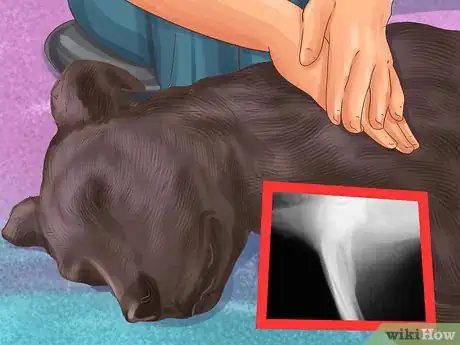 Image titled Know if You Can Handle a Big Dog Step 10