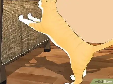 Image titled Use a Spray Bottle on a Cat for Training Step 15