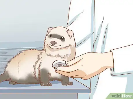 Image titled Make Your Ferret Happy Step 15
