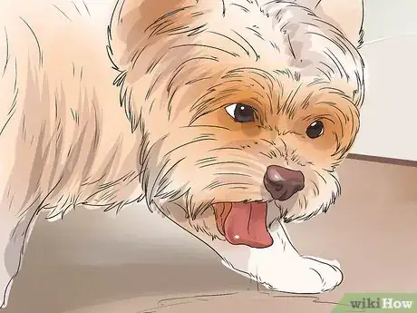 Image titled Use Fish Oil for Dogs Step 7