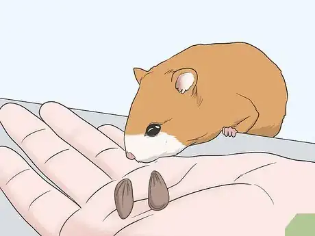 Image titled Hold a Hamster Step 3