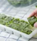 Freeze Kale