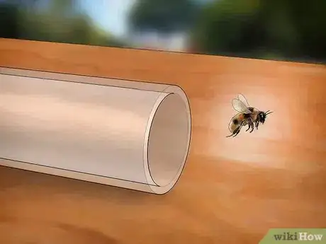 Image titled Catch a Bee Without Getting Stung Step 11